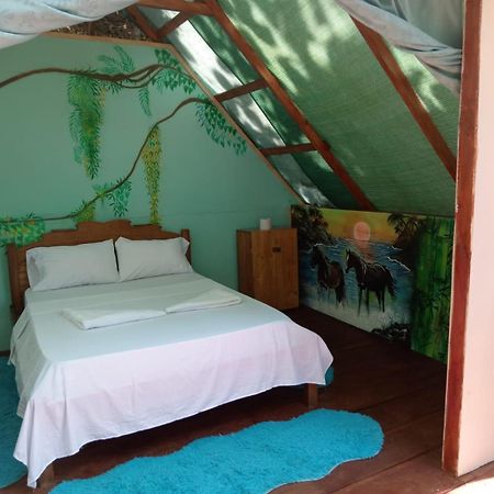 Pirate Drake Beach Hostel & Tour Company Drake Bay Luaran gambar