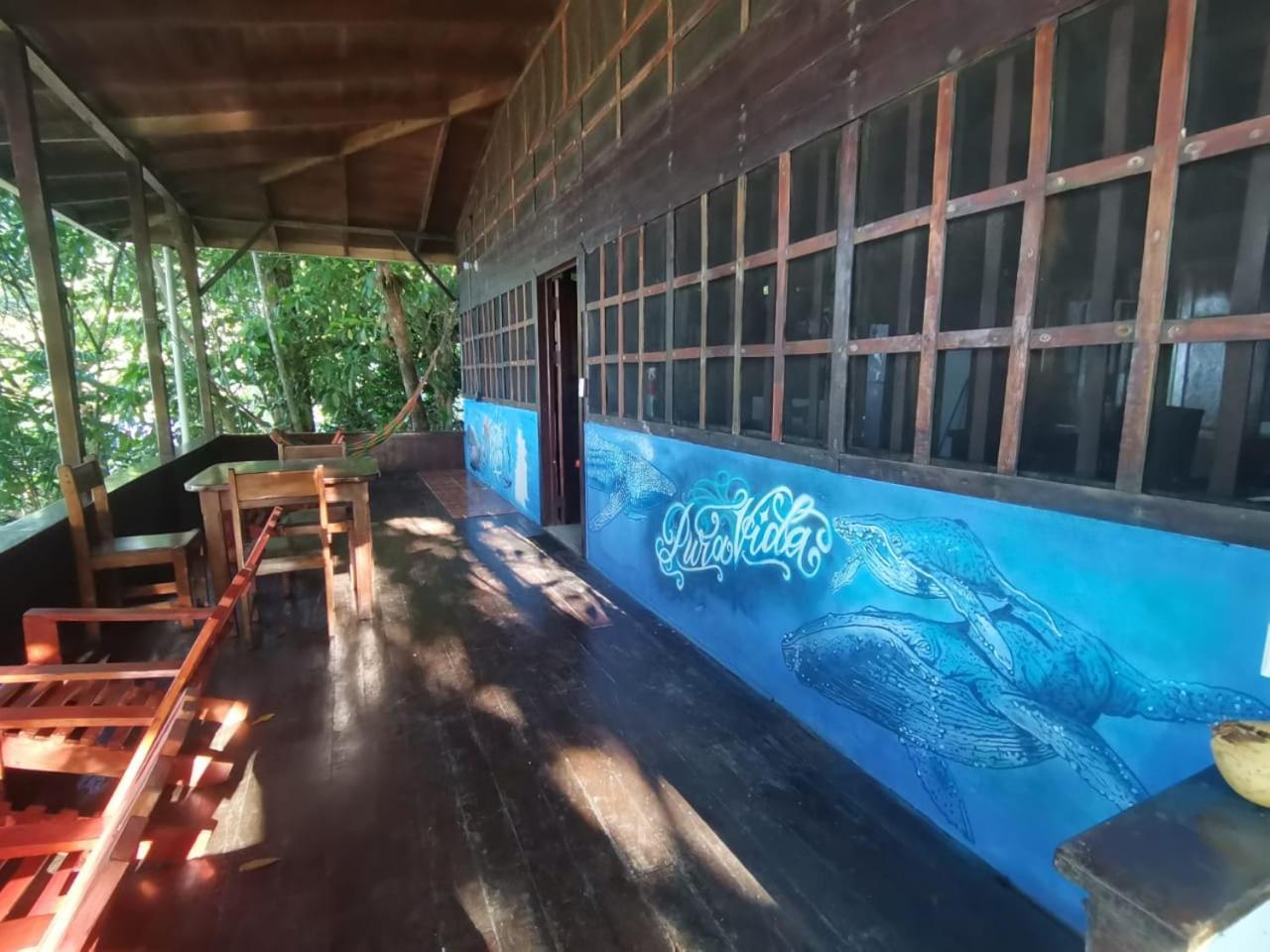 Pirate Drake Beach Hostel & Tour Company Drake Bay Luaran gambar