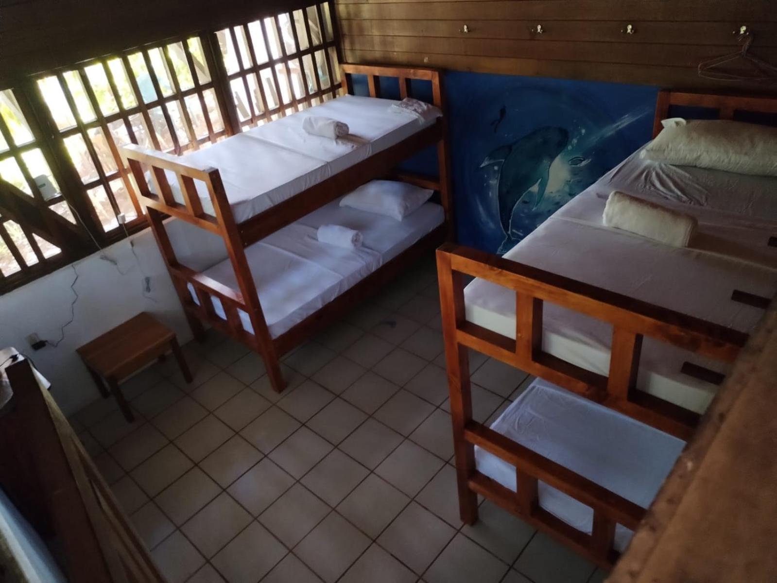Pirate Drake Beach Hostel & Tour Company Drake Bay Luaran gambar