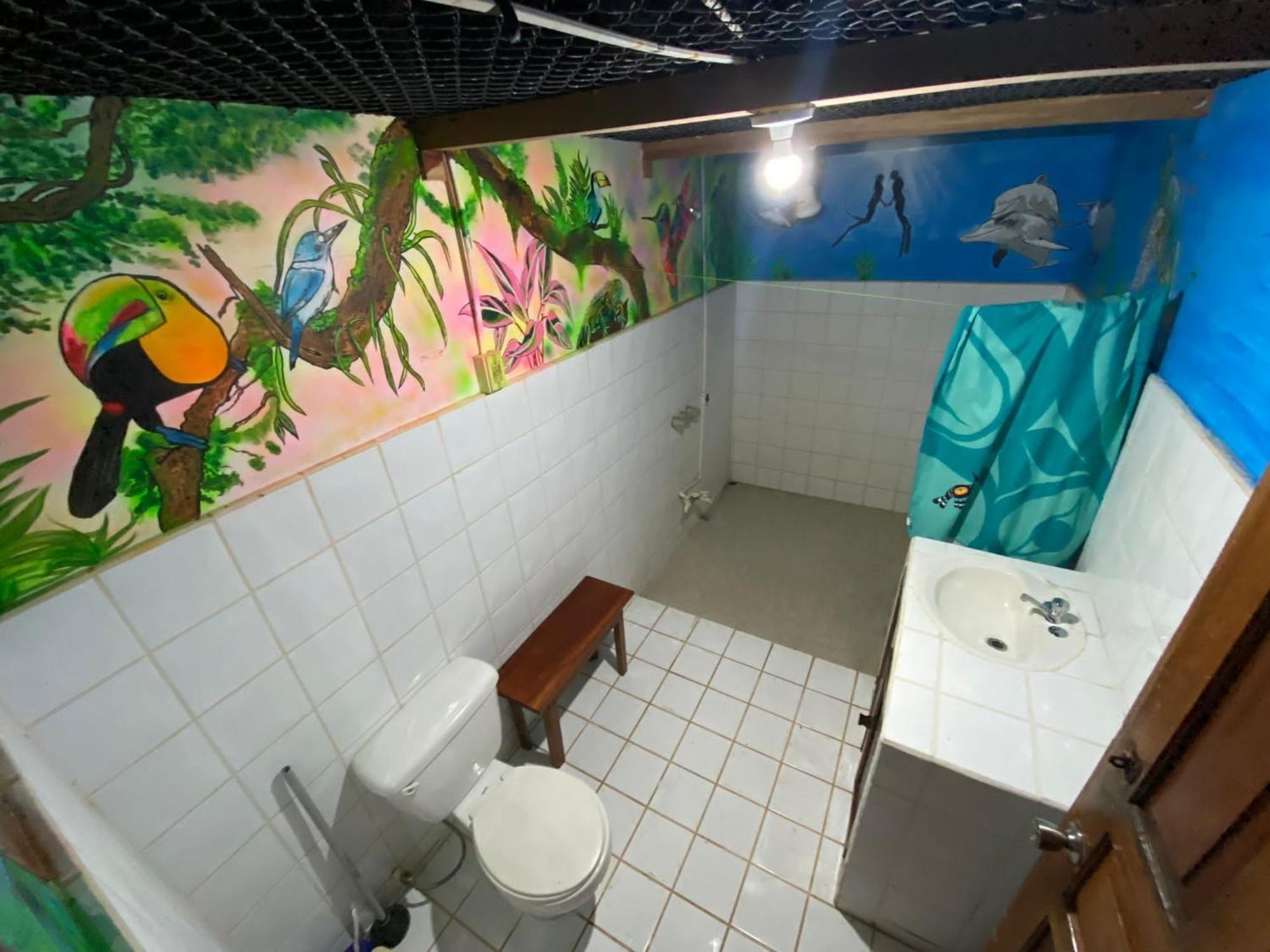 Pirate Drake Beach Hostel & Tour Company Drake Bay Luaran gambar