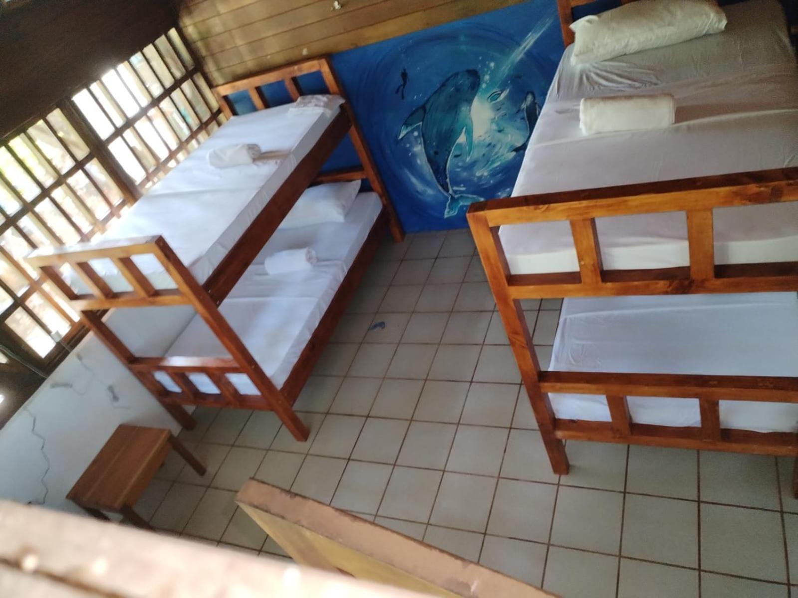 Pirate Drake Beach Hostel & Tour Company Drake Bay Luaran gambar