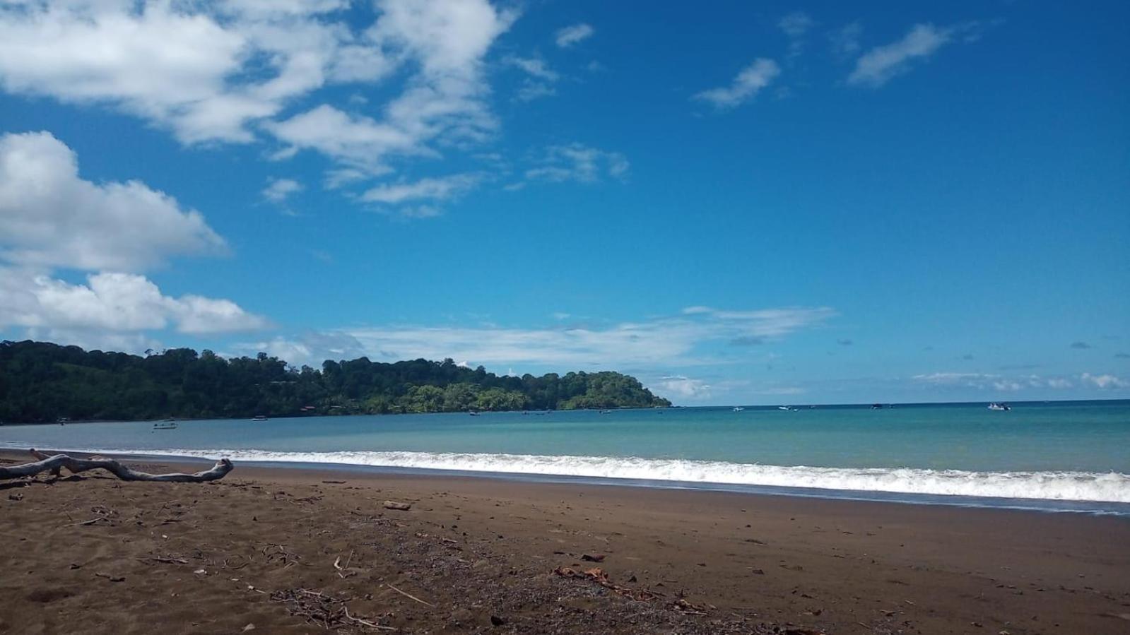 Pirate Drake Beach Hostel & Tour Company Drake Bay Luaran gambar
