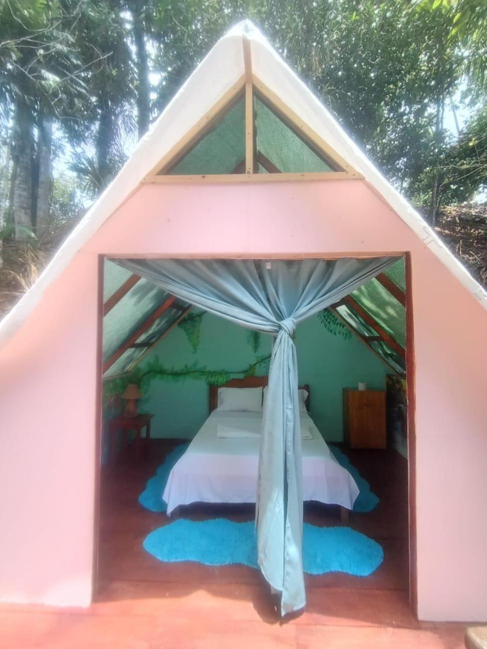 Pirate Drake Beach Hostel & Tour Company Drake Bay Luaran gambar